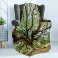thumbnail image 4 of Nature Soft Flannel Fleece Blanket, Magnificent Rain Tree in Thailand with Long Branches Rural Scenery Growth Picture, Cozy Plush for Indoor and Outdoor Use, 70" x 90", Brown Green, by Ambesonne, 4 of 5