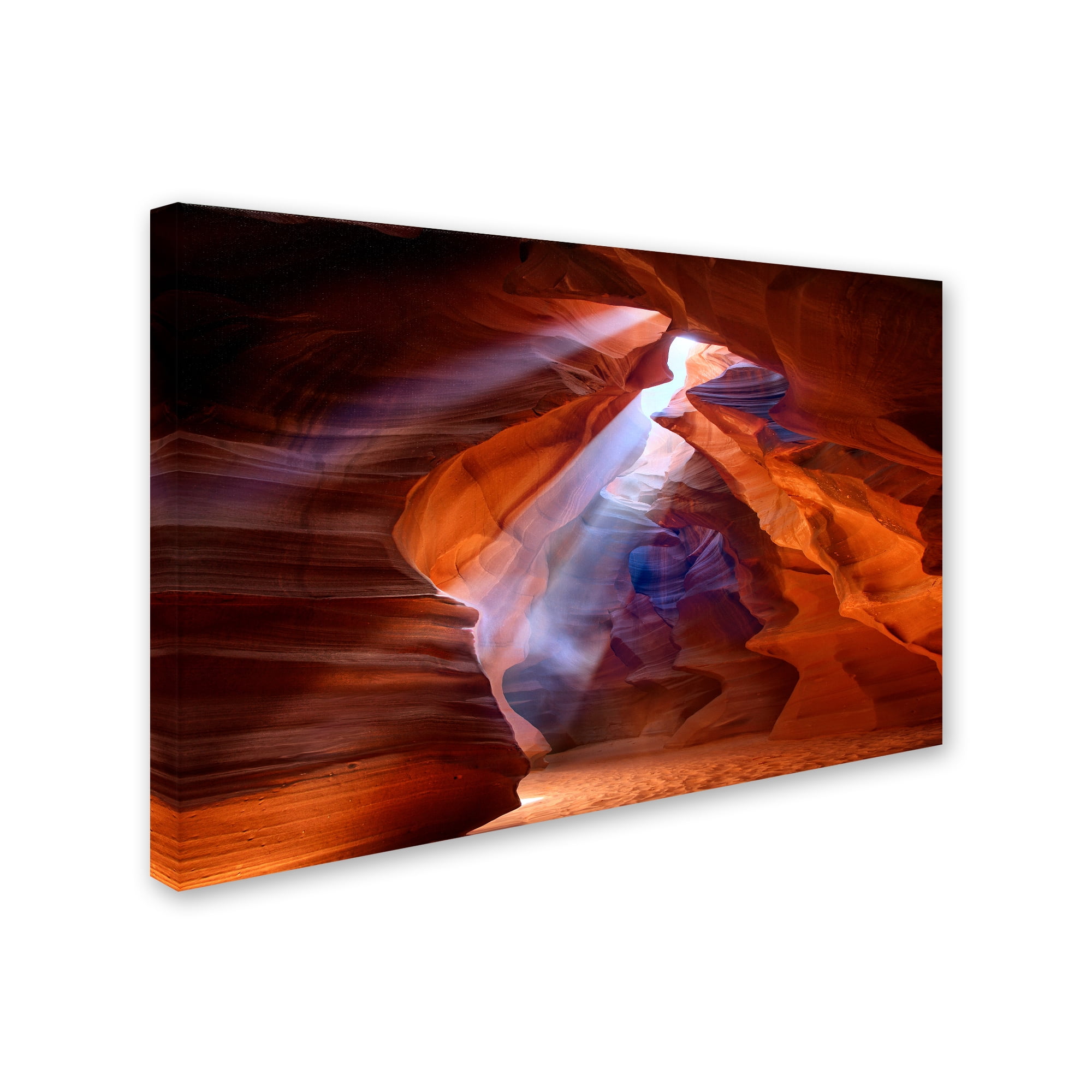 Trademark Fine Art 'Pure Photo delight' Canvas Art by Roman Golubenko