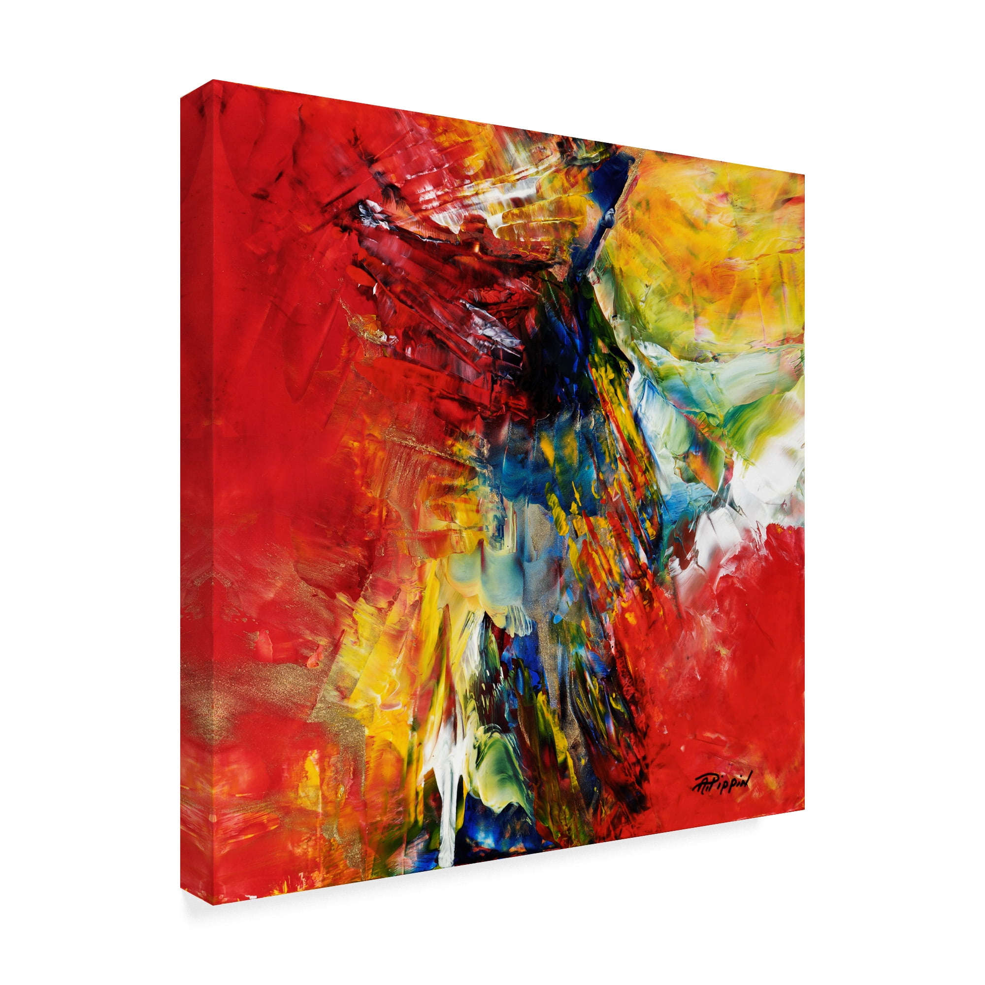 Trademark Fine Art 'And Danced The Skies' Canvas Art by Aleta Pippin