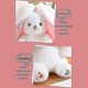 thumbnail image 5 of Double-Sided Rabbit Plush Pillow Toy with Carrot & Strawberry Design, Soft Stuffed Animal Doll for Kids, 5 of 5