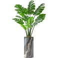 thumbnail image 4 of Artificial Tree in Modern Planter, Fake Monstera Silk Tree for Indoor and Outdoor Home Decoration - 65" Overall Tall (Plant Pot Plus Tree), 4 of 5