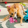 thumbnail image 1 of BKER Dog Teething Rope Toy Sounding Dog Toy Cute Animal Shaped Pet Toy Knitted Dog Toy Suitable For Small And Medium Dogs, 1 of 5