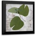 thumbnail image 1 of Sommers, Mindy 20x20 Black Modern Framed Museum Art Print Titled - Herbarium, 1 of 5