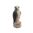 thumbnail image 2 of Señuelo de águila espantapájaros, estatua, escultura ornamental protectora para jardín, figura creativa para decoración de jardín, porche y terraza. Estilo A, 2 of 8