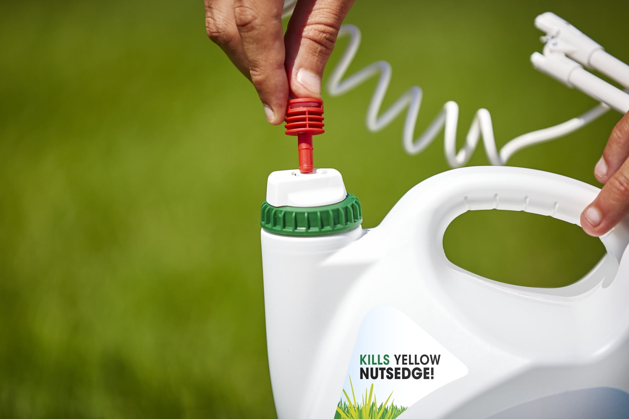 Roundup For Lawns 1 (Northern) Extended Wand, Weed Killer, 1.33 gal., Kills The Root