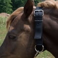 thumbnail image 2 of Aime Imports Basic Picket Line Neck Collar, 2 of 2