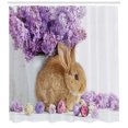 thumbnail image 3 of Ambesonne Easter Bunny Shower Curtain, Rabbit Photo, 69"Wx75"L, Multicolor, 3 of 3