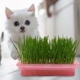 thumbnail image 4 of Maceta de hierba para gatos para el hogar, maceta de hierba gatera, práctica caja de hierba hidropónica para gatos, 4 of 7