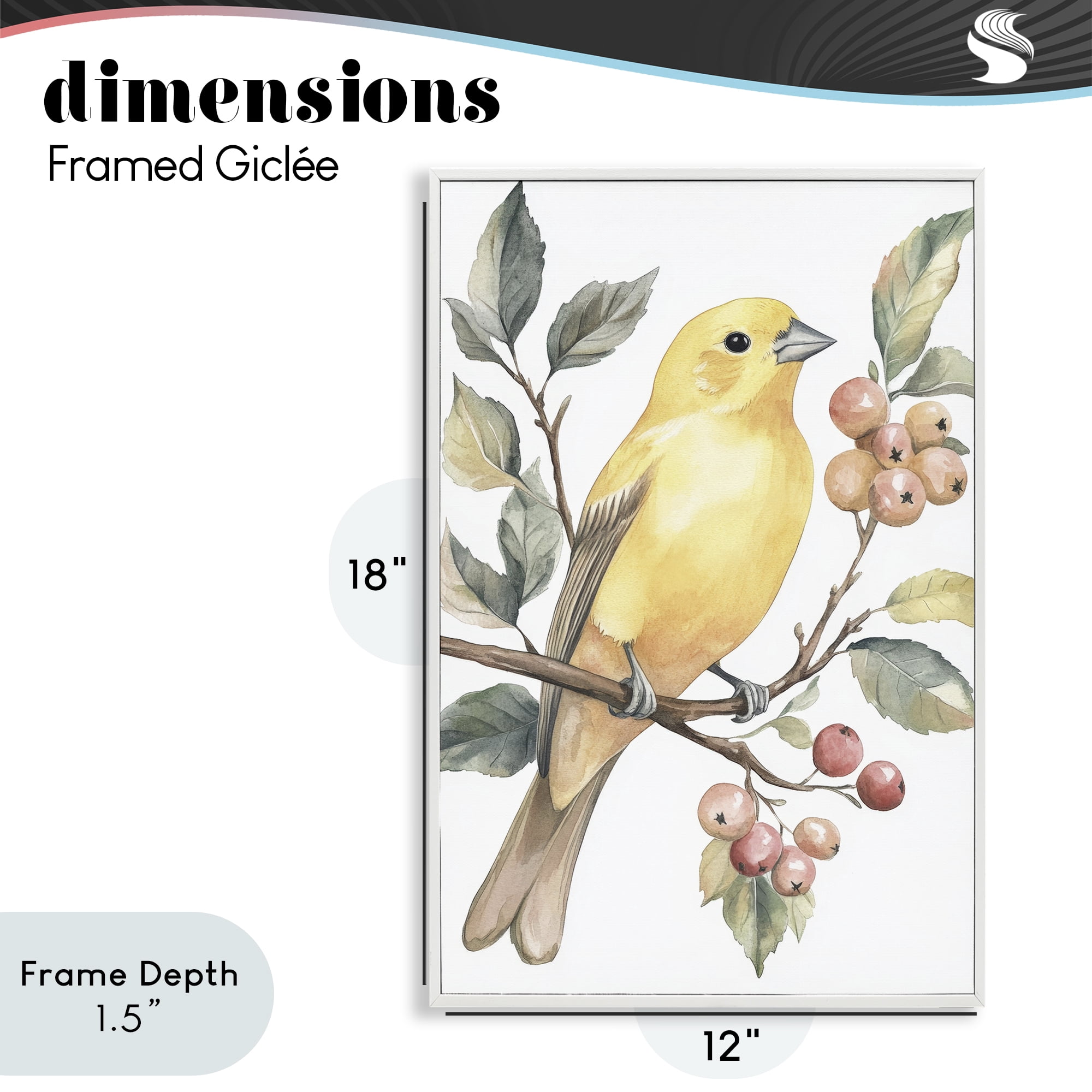 Stupell Industries Sun Lit Bird on Branch White Framed Giclee Art, design by Petal Prints Design