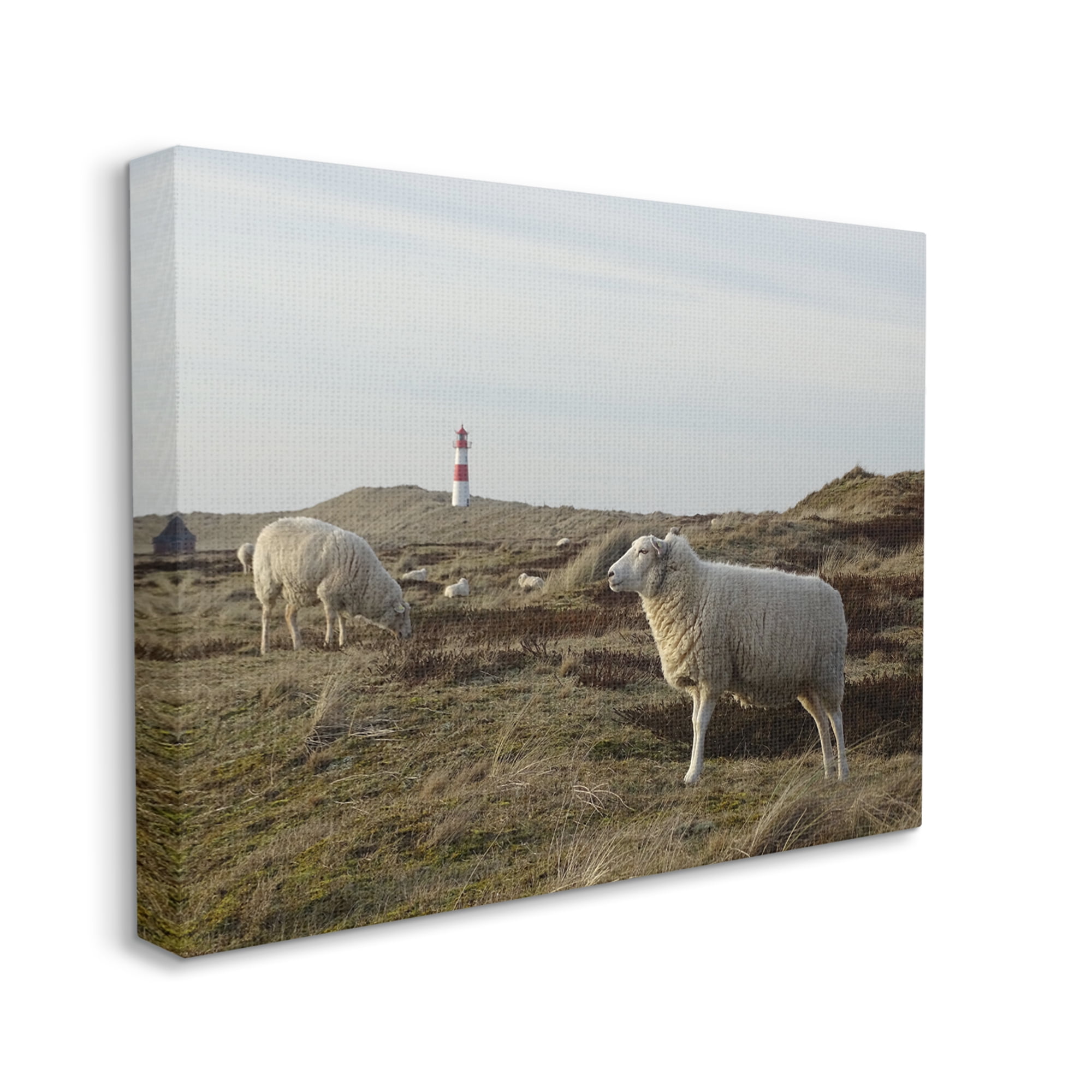 Stupell Industries Grazing Sheep Peaceful Grassland Hills Distant Lighthouse Photograph Gallery Wrapped Canvas Print Wall Art, Design by Daphne Polselli