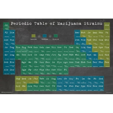 Periodic Table Of Marijuana Strains Poster -