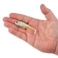 thumbnail image 5 of PowerBait® Agent E, 5 of 10
