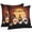orange, variant on Outdoor Waterproof Pillow Covers Halloween Gnome Pumpkin Black Cat Spiders Hall Ween Decorative Throw Pillow Protectors,Dead Tree Purple Pillowcase Cushion Cases for Patio Sofa Garden,24x24in,2 Pack