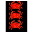thumbnail image 1 of Dungeness Crab 12.5 x 18 Inch Decorative Garden Flag, 1 of 1
