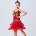 thumbnail image 4 of GYRATEDREAM Latin Dance Dress Tassel Dancewear Sequin Fringe Dress Modern Ballroom Cha Cha Modern Jazz Dancewear, 4 of 8