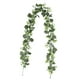 thumbnail image 2 of Guirnalda artificial de hojas de vid de 178 cm, plantas colgantes artificiales rústicas realistas para Estilo F, 2 of 9