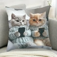 thumbnail image 6 of Funny Cats Decorative Throw Pillow Cover 18x18 Inch Double Sided Plush Pillowcase Cushion Case for Sofa Couch Bedroom Living Room Home Decor, 6 of 6