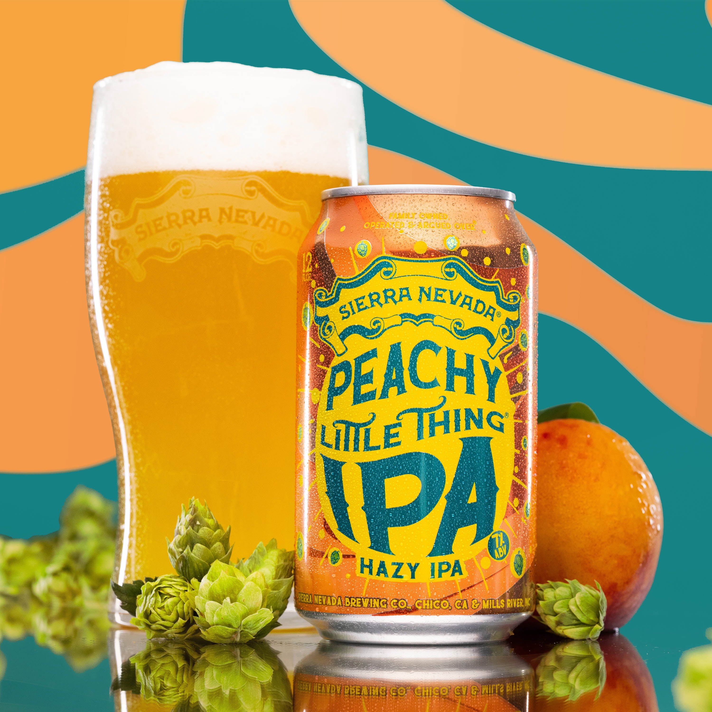 Sierra Nevada, Craft Beer, Little Things Hazy IPA Variety Pack 12