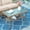 Brown, variant on MEETWARM Wicker Patio Coffee Table, 34.5" Rectangle Outdoor Coffee Table with Tempered Glass Top and 2-Tier Storage Shelf, All-Weather Rattan Patio Side Table for Outside Poolside Deck Garden, White