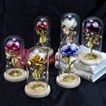 thumbnail image 2 of Koszal Flower LED Decor Romantic Rose Flower Exquisite Glass Cover LED Light Ornaments for Gift, 2 of 8