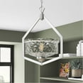 thumbnail image 2 of Designers Fountain Drake Brushed Gold 1 Light Foyer, 96350-BG, 2 of 2