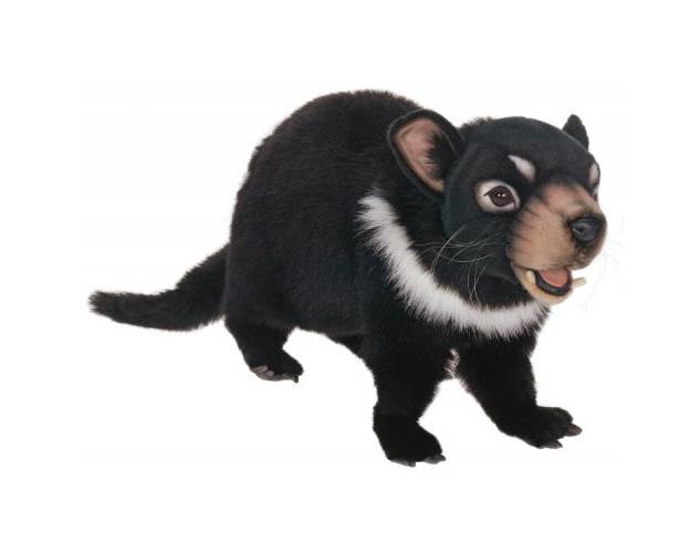 tasmanian devil plush toy