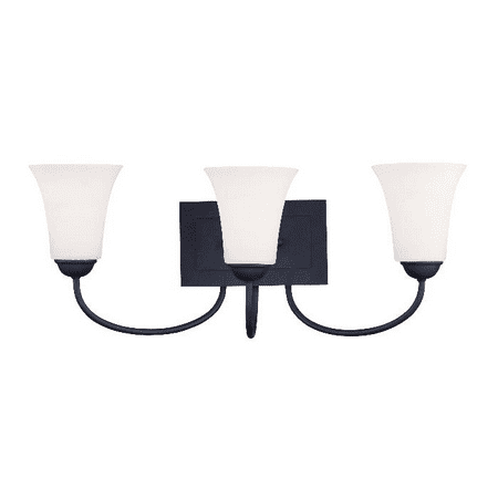 

Black Tone Finish Bathroom Vanity Medium Base Bulb Type 24 Wide 3 Light Fixture