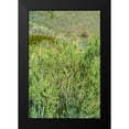 thumbnail image 2 of Popcorn 11x14 Black Modern Framed Museum Art Print Titled - Kartchner Cavern Foothills, 2 of 5