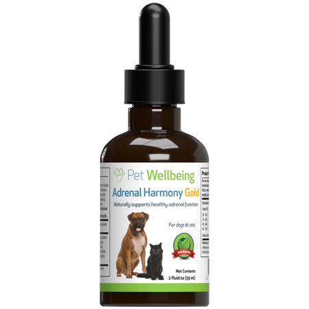 UPC: 0661822000144 | Pet Wellbeing Natural Dog Cushing s Support – Adrenal Harmony Gold 2oz (59ml)