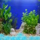 thumbnail image 1 of WEUVEB 200Ud Para Acuario En Resina Multicolor Decorativas Y Seguras Para Y Salada, 1 of 6