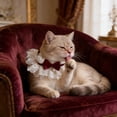 thumbnail image 6 of Yhmxh Cat Bow Collar, Breakaway Kitten Collar with Cute Bow Tie Girl Cat Collars Cats Princess Costumes Pink Outfit for Kitty and Small Dogs Puppies Birthday Party, 6 of 7