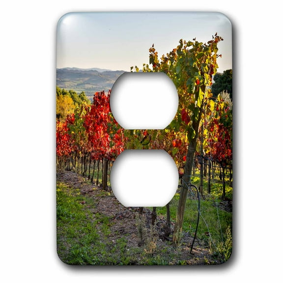 3dRose, Italy, Montalcino, Vineyard in autumn., 2 plug outlet cover