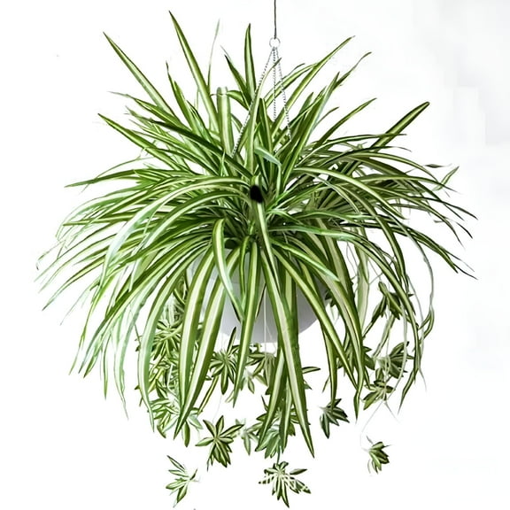 ZULAR 1pc Artificial Spider Plant 23.6inch Artificial Chlorophytum Comosum Silk Flower Large Hanging Artificial Plant Family Garden Office Decoration
