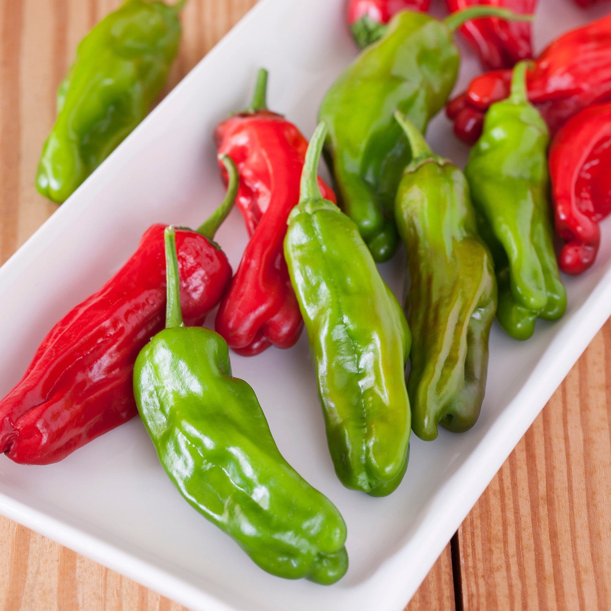 19.3 oz. 2-Pack Bonnie Plants Shishito Pepper