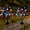 as show, variant on Votnto Red White Blue Star Solar Stake Lights, Patriotic Tree Branch Garden Lights for Independence Day Decor (1 PC)