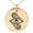 Rose, variant on Stainless Steel Illusionism Magic Rune Engraved Small Medallion Circle Charm Pendant Necklace