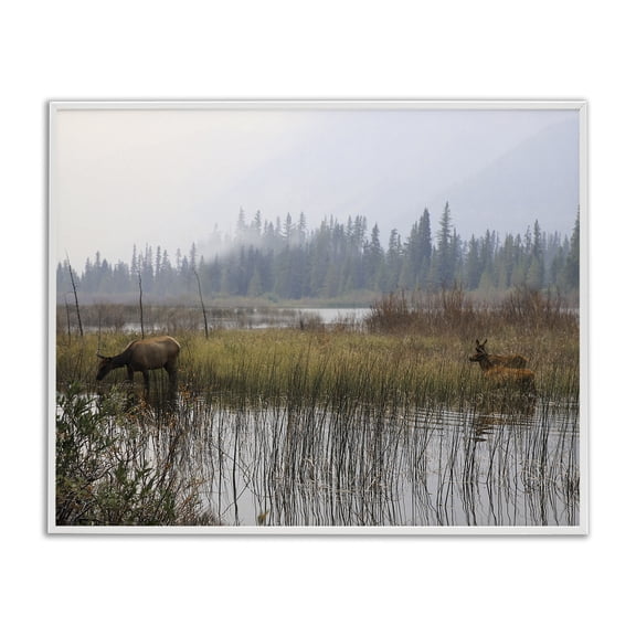 Stupell Industries Coastal Animals Grazing Creek Landscape White Framed Giclee Art, 30 x 24, by Carol Robinson