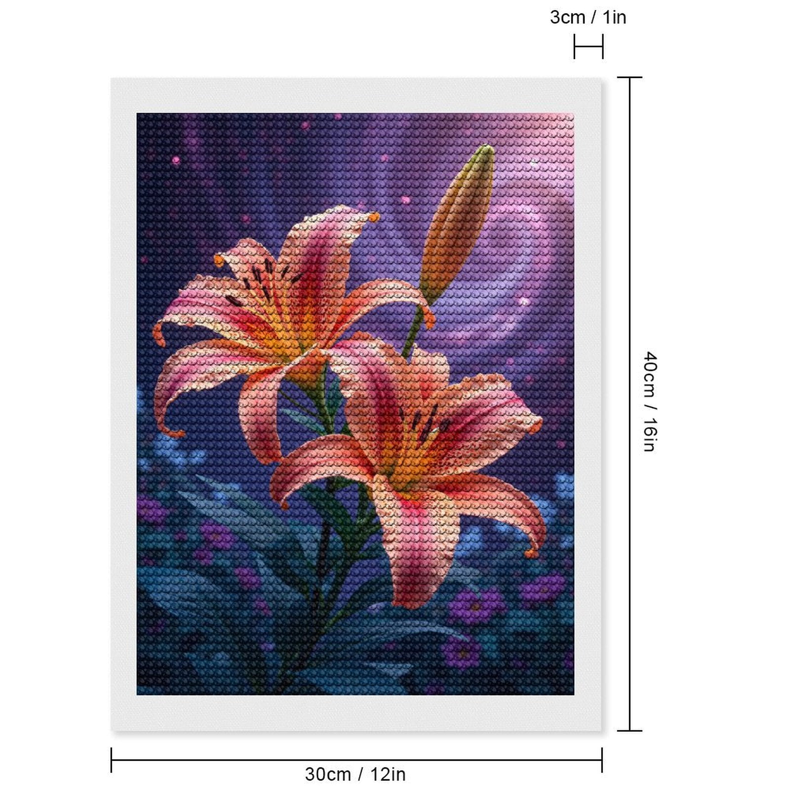 Diamond Art Kits for Adults, Vibrant Lily Flowers Cosmic Background 5D Diamond Painting Kits for Adults Beginners, DIY Full Drill Diamond Painting, Gem Art and Crafts 12x16