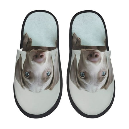 Balery Adorable Puppy Portrait Slient Indoor Furry Fleece Comfort House Shoes Soft Non-Slip Home Shoes Cotton slippers House Slippers-- Medium