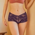 thumbnail image 5 of LWITHSZG Lace Underwear for Women See Through Mesh Briefs No Show Seamless Underpants Soft Stretch Breathable Ladies Panties S-XL, 5 of 6