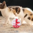 thumbnail image 1 of Ball Food Dispensing Training Ball Cat Puzzles Balls for Dogs Cats, 1 of 8