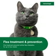 Advantage Topical Flea Prevention For Large Cats 9 lbs+, 2Monthly