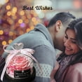 thumbnail image 2 of FTCBJJA Preserved Real Rose in Beautiful Creative Heart Design Glass Dome, Everlasting Black Roses Gift, 2 of 5