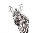 thumbnail image 2 of Nieman, Rachel 12x14 Black Ornate Wood Framed with Double Matting Museum Art Print Titled - Safari Zebra Peek-a-boo, 2 of 4