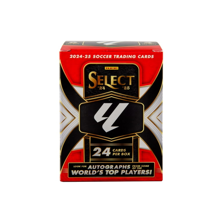 アレクサンダル・ミトロヴィッチ PANINI SELECT EPL /10 アレクサンダル・ミトロヴィッチ PANINI SELECT EPL /10 アレク