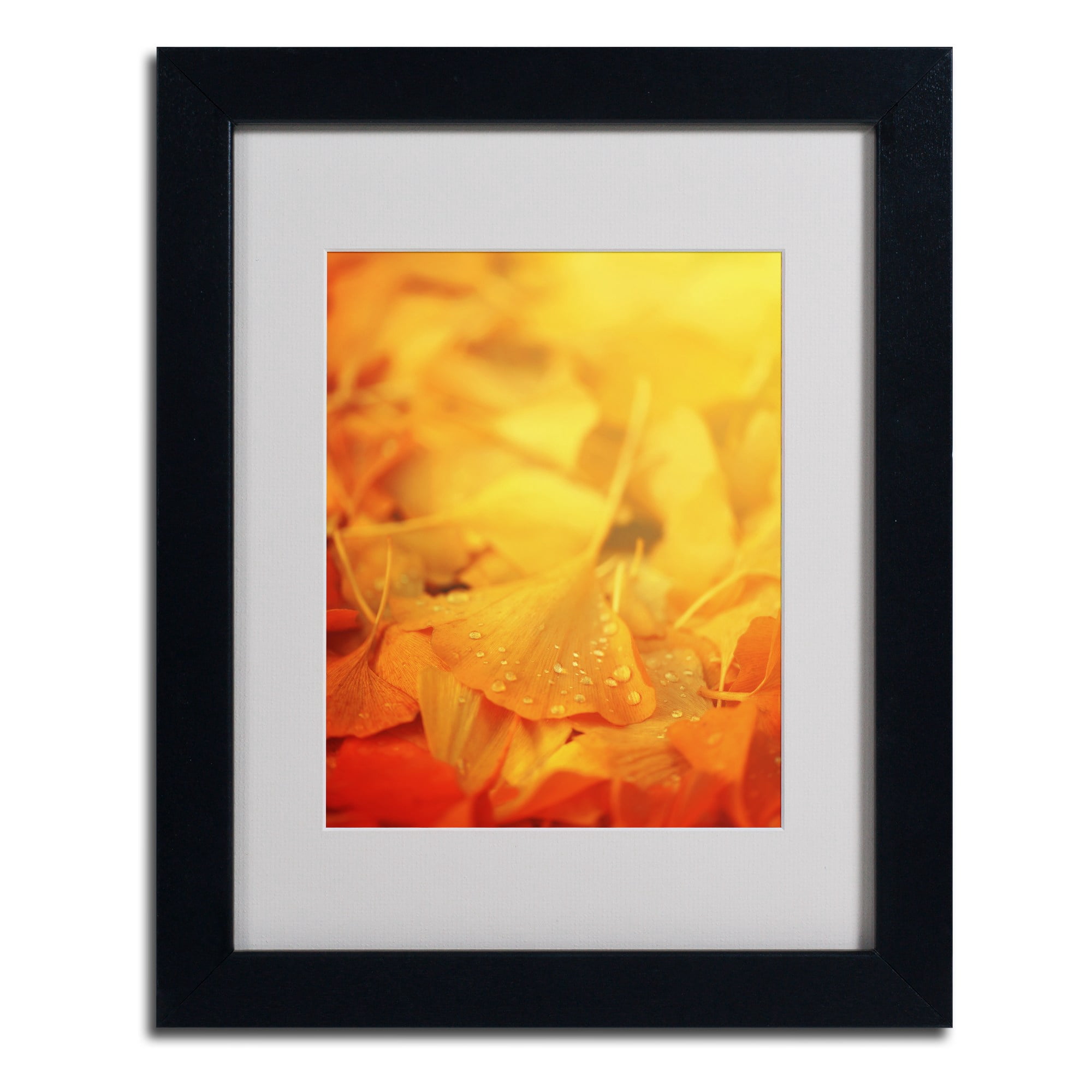 Trademark Fine Art "Thinking Bubble" Canvas Art by Philippe Sainte-Laudy, Wood Frame