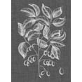 thumbnail image 2 of Vision Studio 24x32 Black Ornate Wood Framed with Double Matting Museum Art Print Titled - Graphic Foliage V, 2 of 4