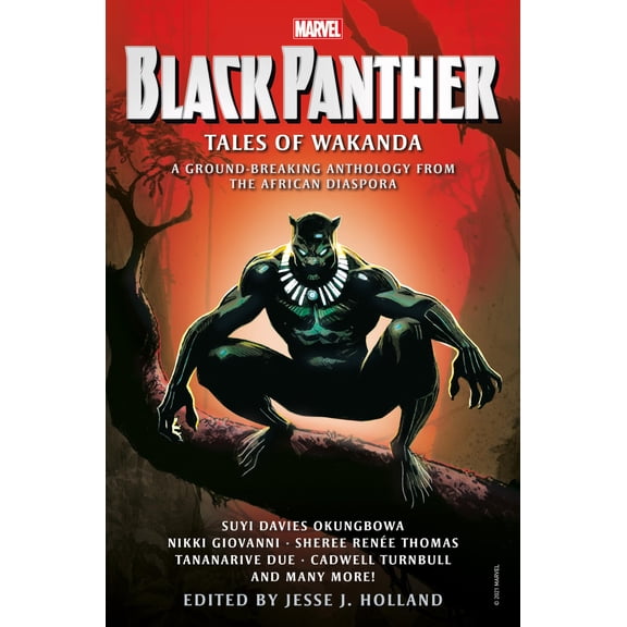 Pre-Owned Black Panther: Tales of Wakanda (Hardcover) 1789095670 9781789095678