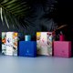 thumbnail image 2 of Panama Jack Perfume Eau de Toilette para Mujer, 50 Ml, 2 of 5