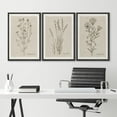 thumbnail image 2 of IDEA4WALL Framed Canvas Print Wall Art Set of 3 Black & Brown Wildflowers Bouquet Illustrations Nature Wilderness Vintage Art Boho Retro Wall Decorative Artwork for Rooms - Black 24"x36"x3, 2 of 5